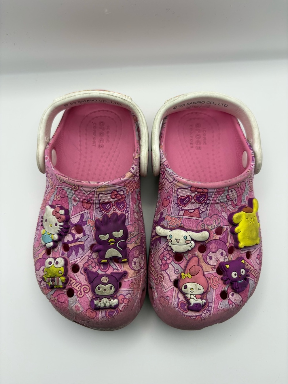 Sanrio Hello kitty and friends Pink Character Clog Shoes with Charms